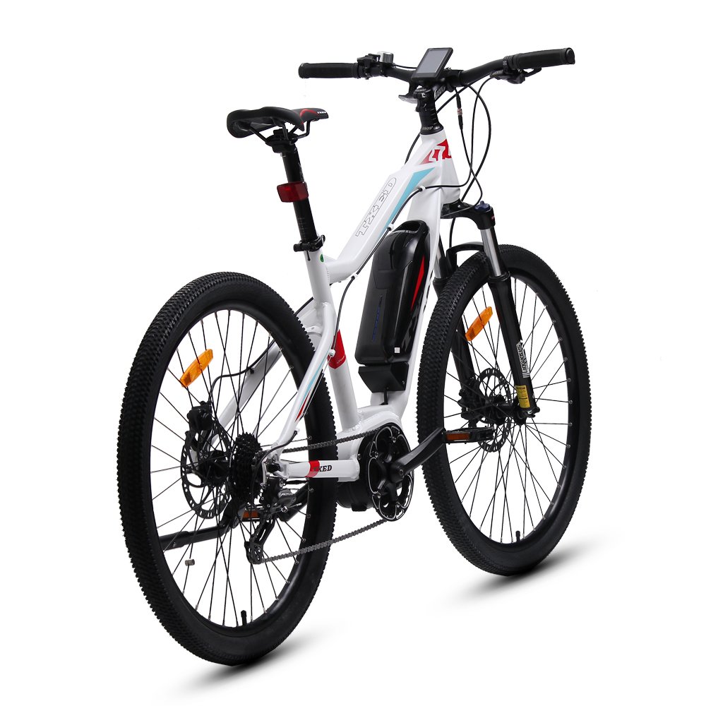 TXED 36V 250W 9 speed electric mountain bike