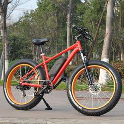 48v500w