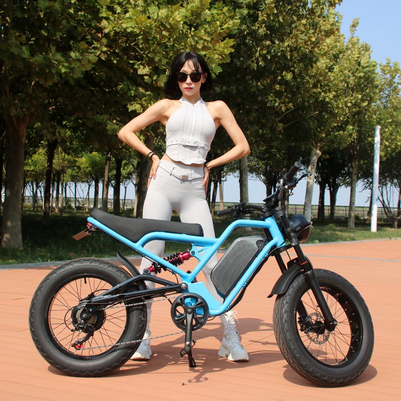 Increase motor power shock absorption 2000w/1500w ebike dirt stealth bomber electric mountain bike motorcycles for men adults