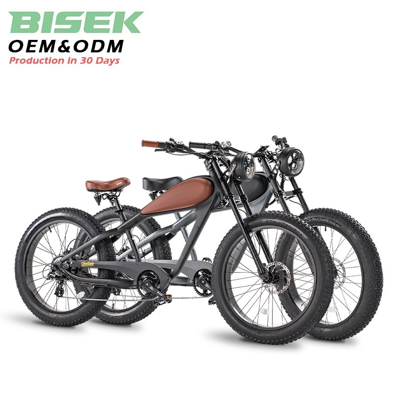 OEM US warehouse e bicycle electric hybrid bike Wholesale electric cross-country city bike mountain ebike road bike