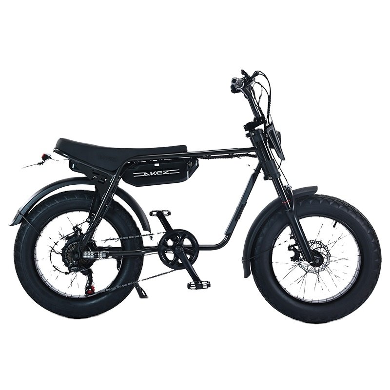 Ready Stock 20 Inch E-bike Fat Tire Bike 750W Electric Mountain Dirt MotorBike Motorcycle Eu Warehouse