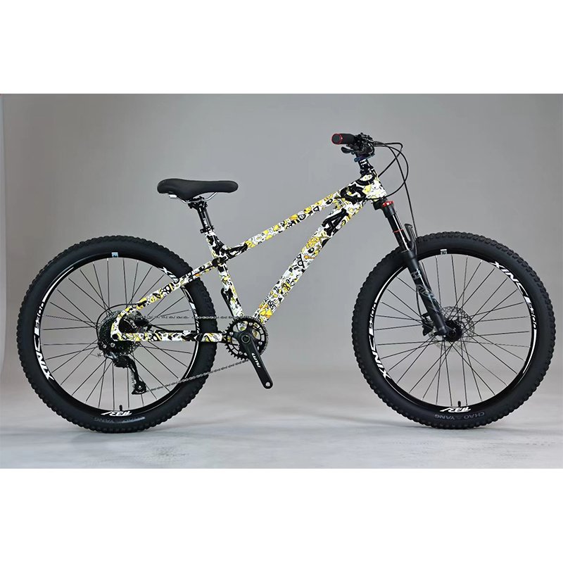 Popular 29er alloy downhill mountain bikes 10 speeds with water transfer decal