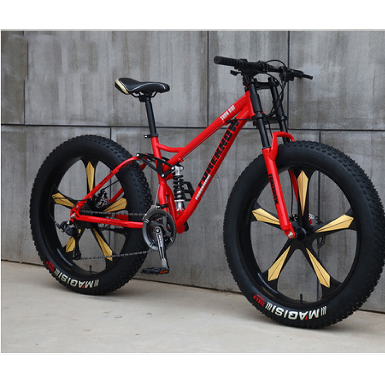 Popular New 26'' 4.0 Mountain Fat Bike/Cycle for Men Beach Cruiser Design with Disc Brake & Aluminum Fork for Snow Riding