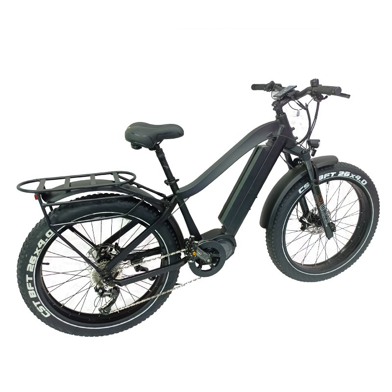 Ifayfan electric bike 1000W mid motor 26inch fat tire mountain ebike electric bike