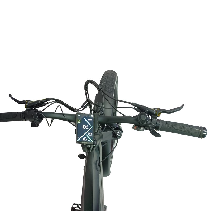 Ifayfan electric bike 1000W mid motor 26inch fat tire mountain ebike electric bike