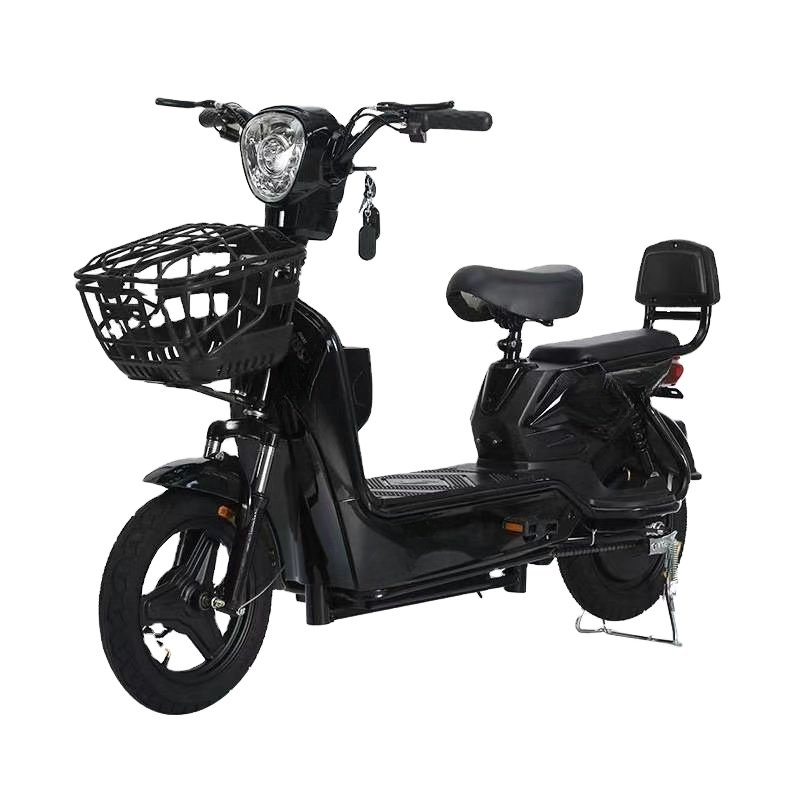 wholesale price electric bikes fat tire China adult Lead acid electric bike with pedals with Brushless Motor