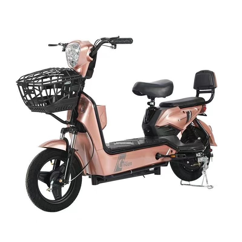 wholesale price electric bikes fat tire China adult Lead acid electric bike with pedals with Brushless Motor