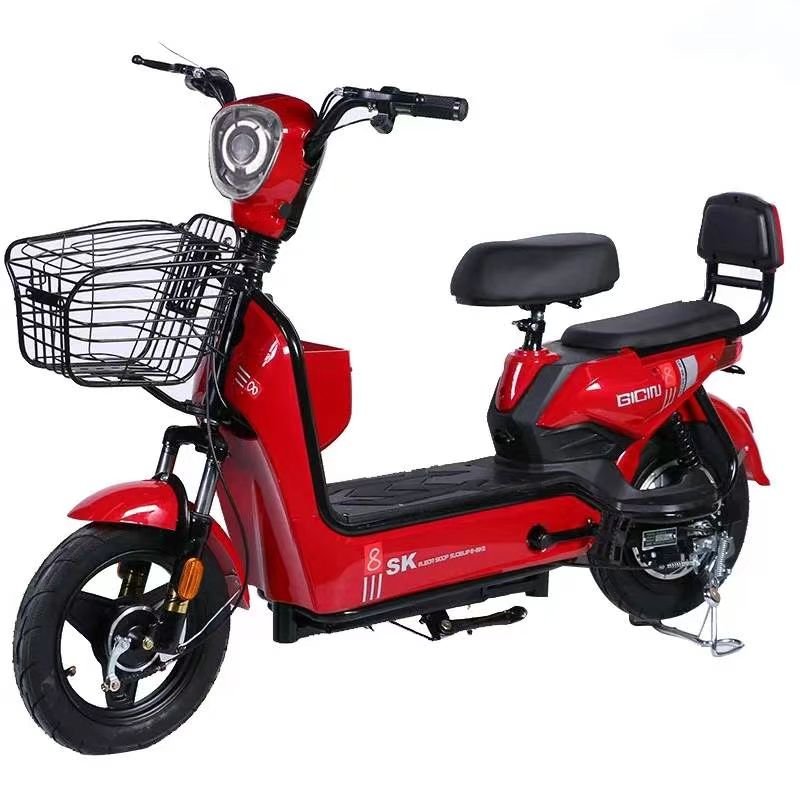 wholesale price electric bikes fat tire China adult Lead acid electric bike with pedals with Brushless Motor