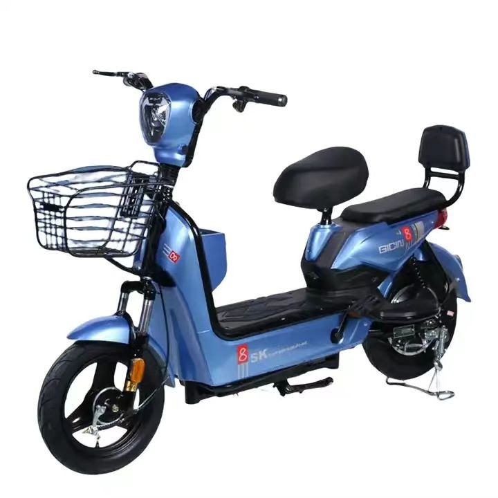 wholesale price electric bikes fat tire China adult Lead acid electric bike with pedals with Brushless Motor