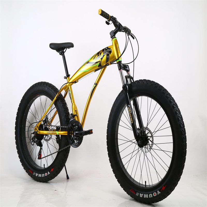 High Quality 26''*4.0 21 Speed MTB Mountain Snow Beach Bike Fat Tire Aluminum Fork Steel Frame-Newest Manufacturer Adult Bicycle