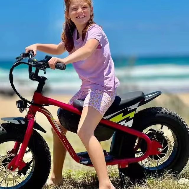 Adults EBike 500W 48V 10.5Ah Li-ion battery Electric Bike Mountain Snow Motorcycles 16 Inch Tyre Electric Bicycle For Kids