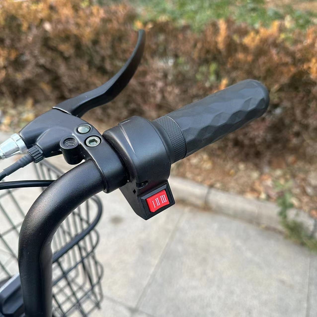 High-Capacity 48V Electric Bicycle Battery for Adults Smart Sensor Electric City Bike with Steel Frame Takeout Electric Vehicle