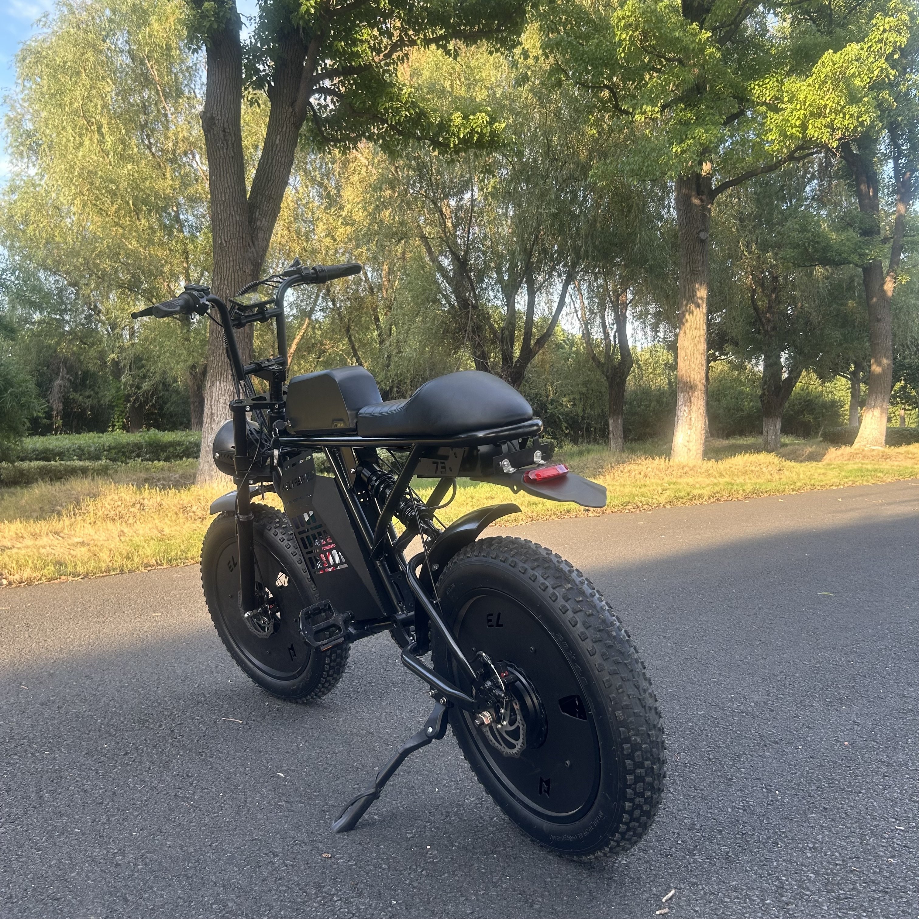 Mountain e-bike electric bicycle prices 1000W fatbike wholesale 20 inch fat tire electric pedal bike