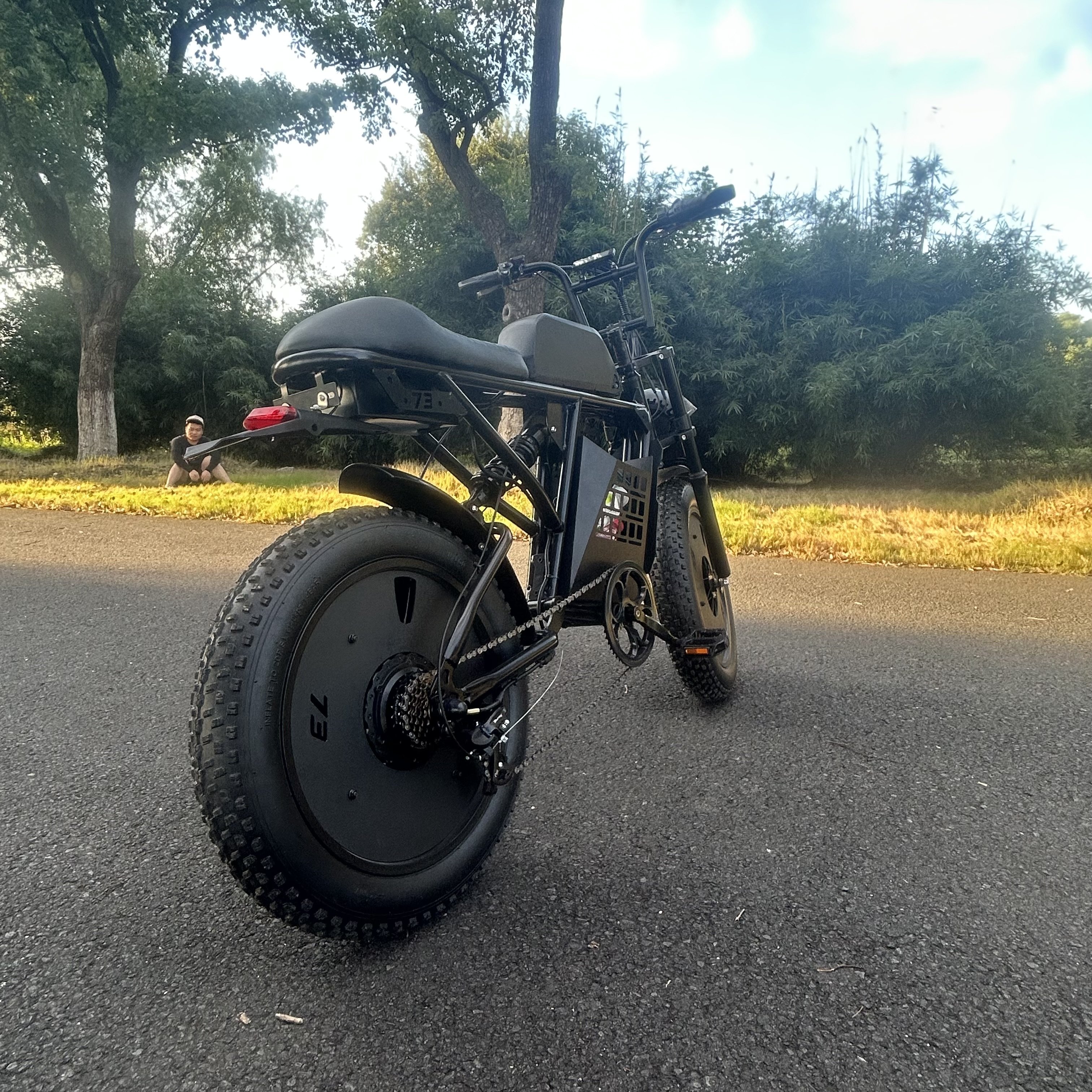 Mountain e-bike electric bicycle prices 1000W fatbike wholesale 20 inch fat tire electric pedal bike