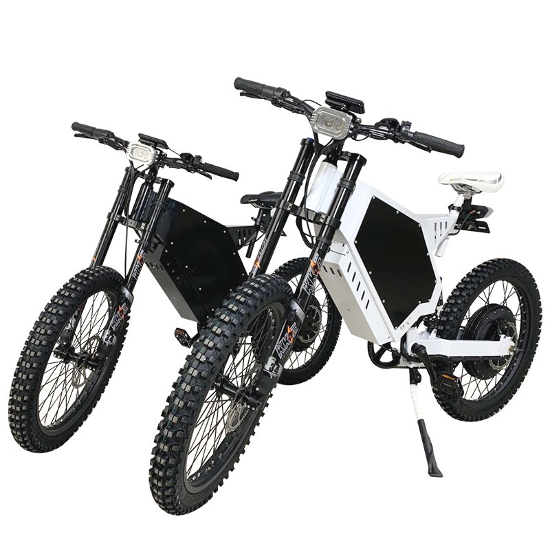 New Electric Bicycle Two-wheeled Electric Bicycle New Fashion Scooter Economical And Affordable Made In China E-motor bike
