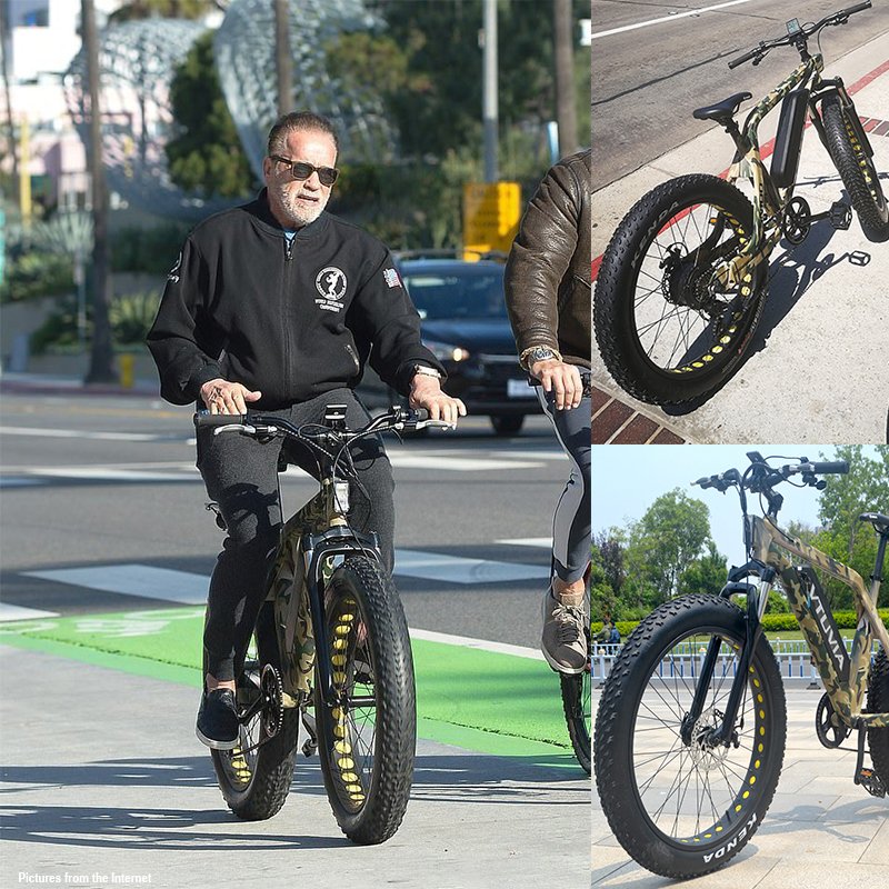 US & EU in stock 26 Inch 36V/48V 250W/750W Fat Tire Electric Mountain Bike (V-SN100)