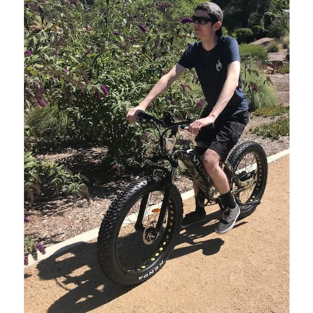 US & EU in stock 26 Inch 36V/48V 250W/750W Fat Tire Electric Mountain Bike (V-SN100)