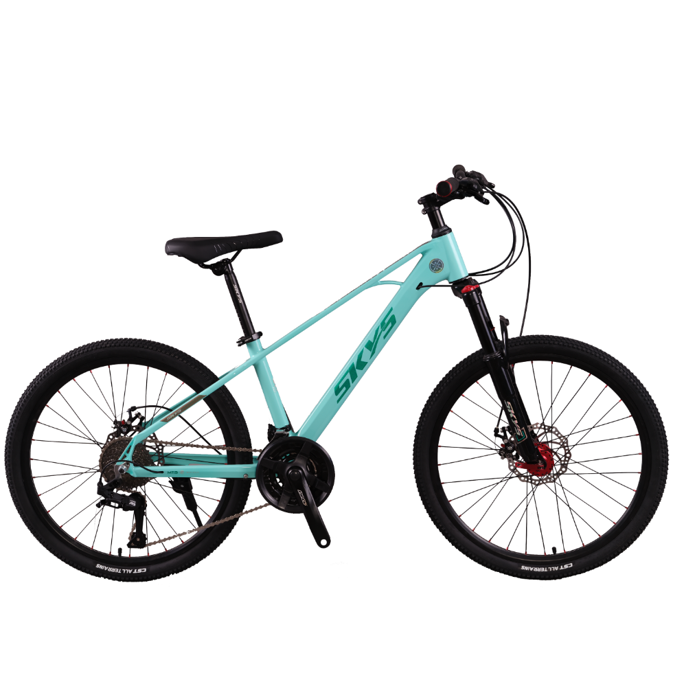 High quality 27 speed adult Bike unisex magnesium alloy integrated frame biccletas city bike MTB road OEM mountain bike