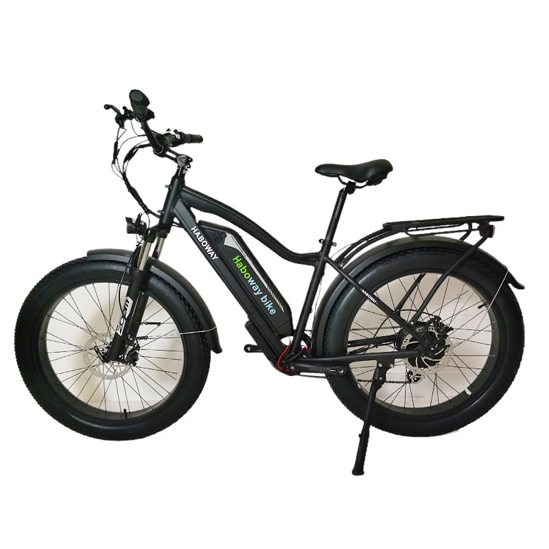 Made in China city e-bike fat tire electric mountain bike 1000W
