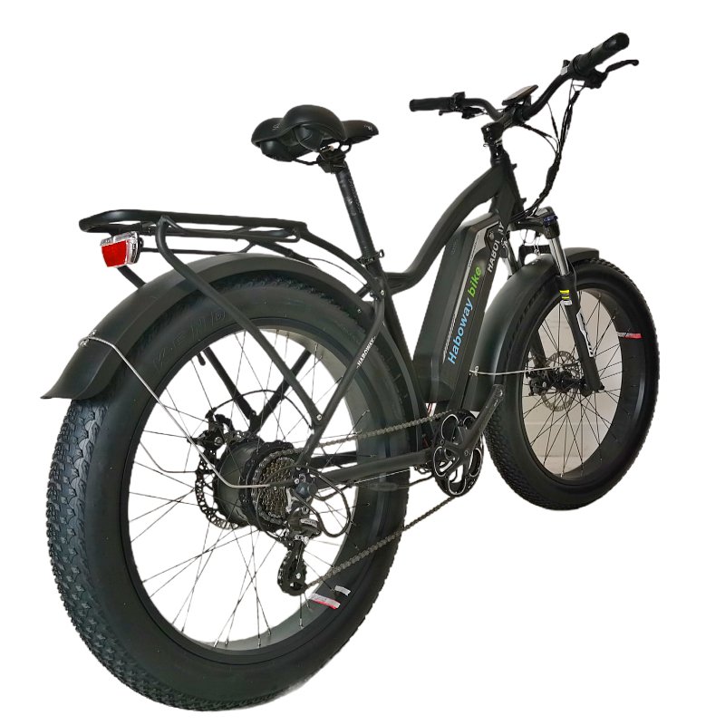 Made in China city e-bike fat tire electric mountain bike 1000W