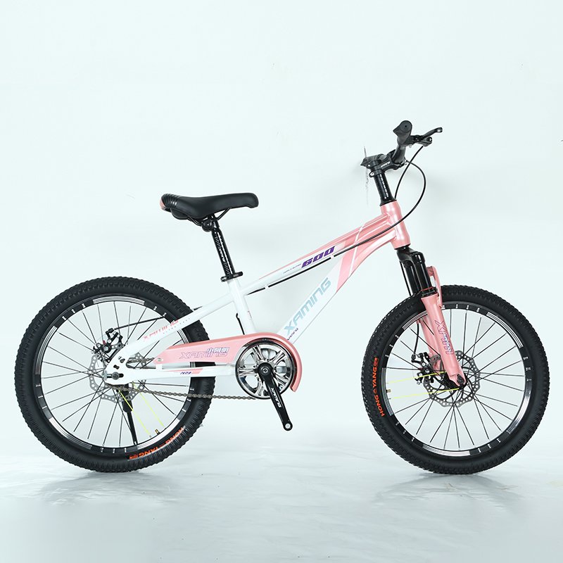 Professionally Designed Outdoor Sports Mountain Variable Speed 24 '26' Mountain Bike For Teenagers And Adults