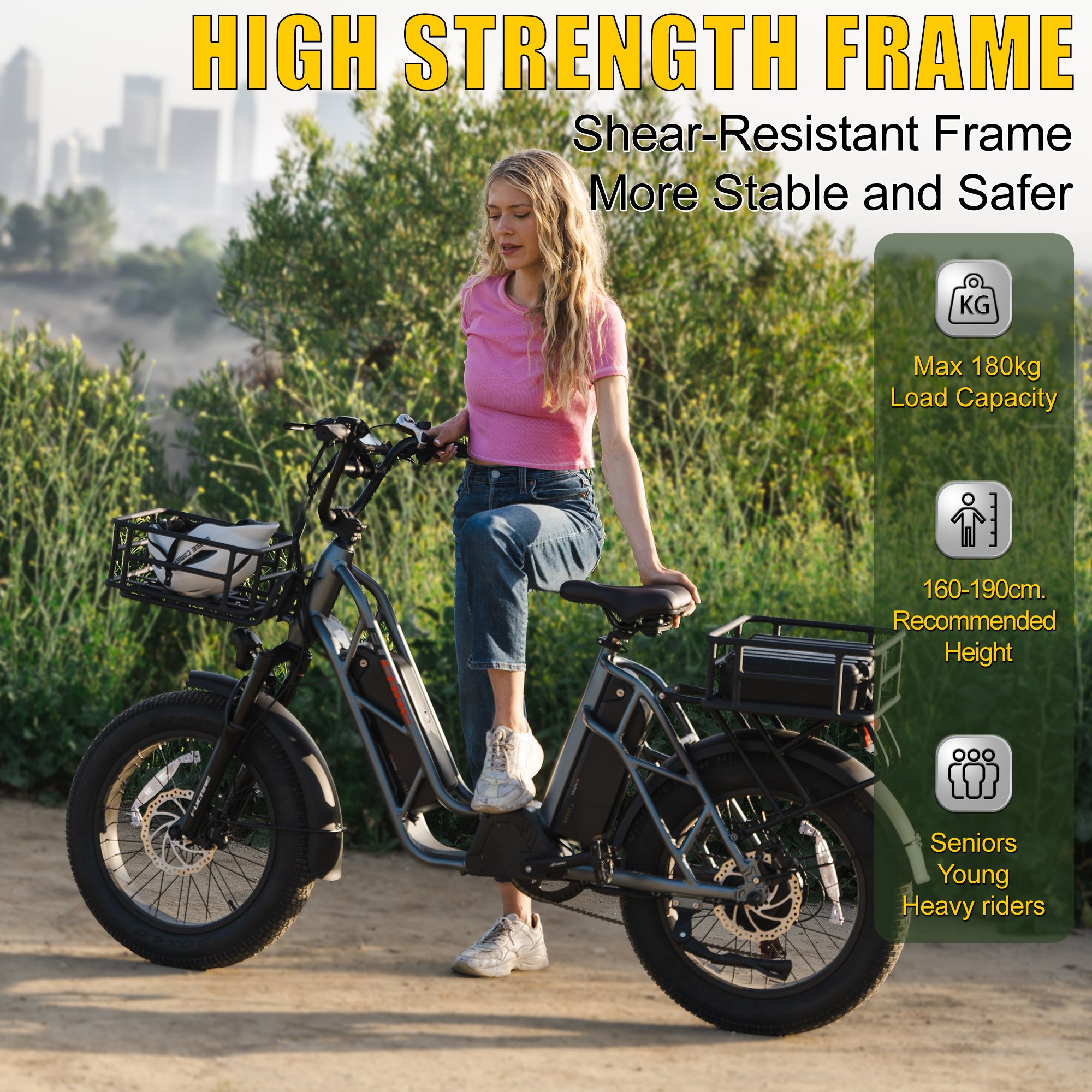 Factory Direct Ready to Ship 750W 48V 30Ah 400LBS Max Load Cargo E-Bike Dual Lithium Battery Long Range Electric Bike for Adult