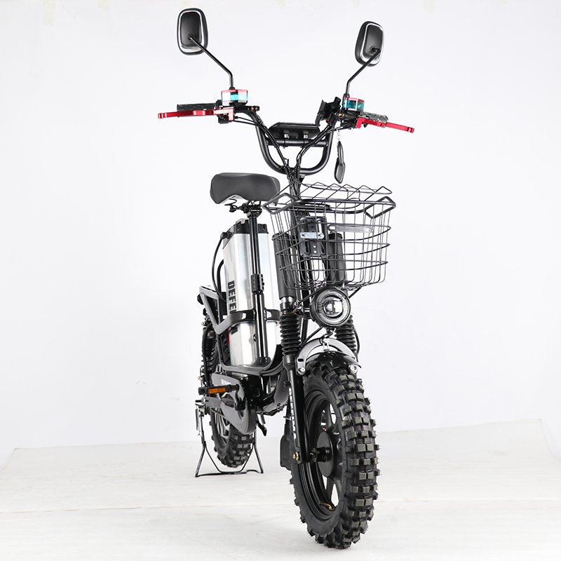 Factory Wholesale cheap hybrid city electric mountain bike Monster V12 electric bike electric cargo bike