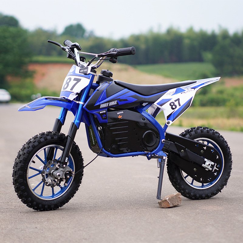 2024 new electric vehicles 500W two-wheeled electric vehicle adults electric two-wheel motorcycle for kids