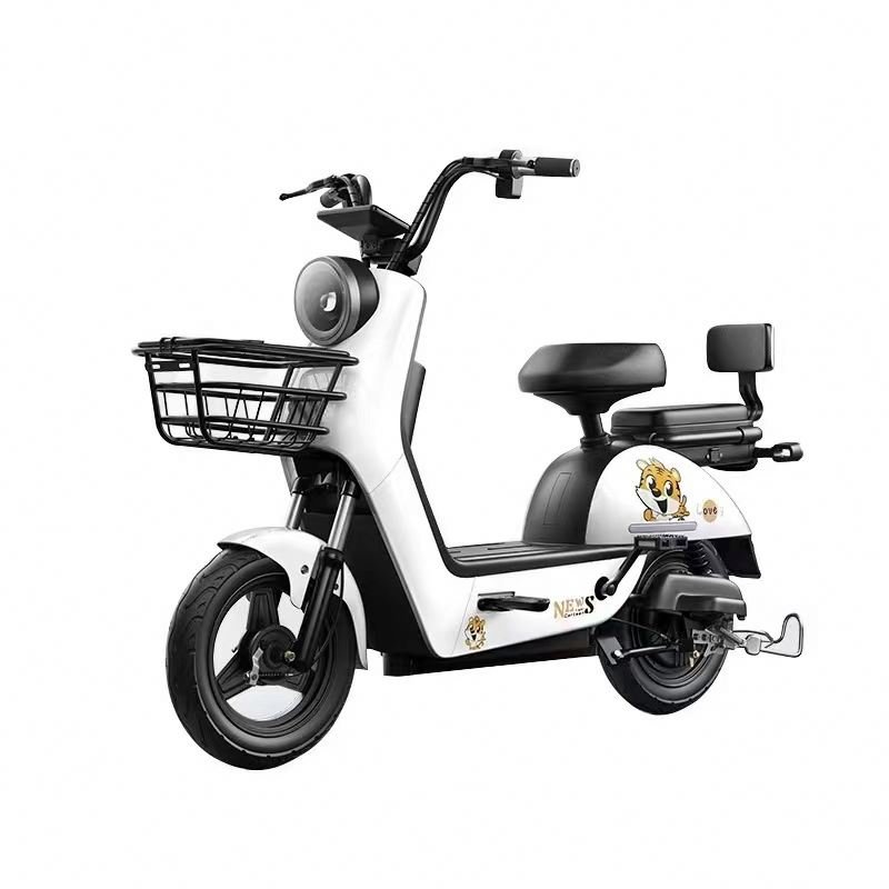 OEM/ODM Electric Road Bike Electric Mountain Bike Full Suspension E-Bike Conversion Kit