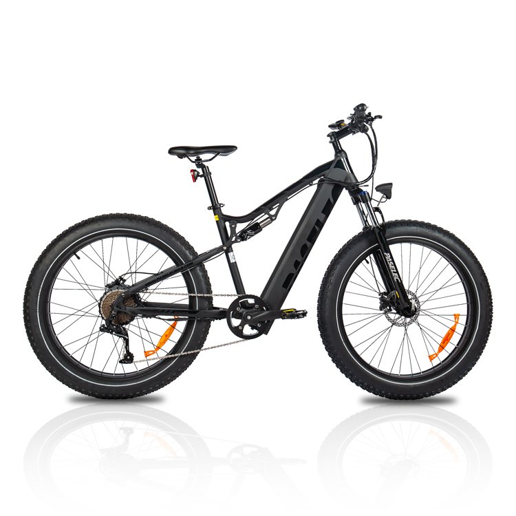 EU Free Delivery 750W Brushless Motor 48V17AH Large Capacity Lithium Battery Adult Electric Mountain Bike Electric City Bike