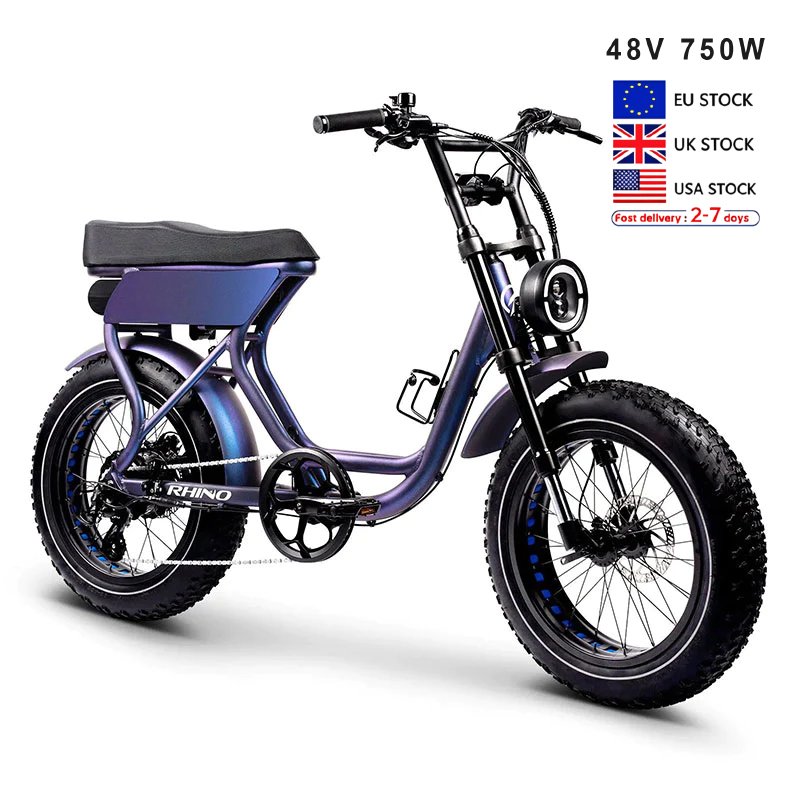 BGL 20 Inch 48V 1000W Electric Bike Fat Bike Scooter Electric Road Bike City Electric Bicycle 750W Electric Bike