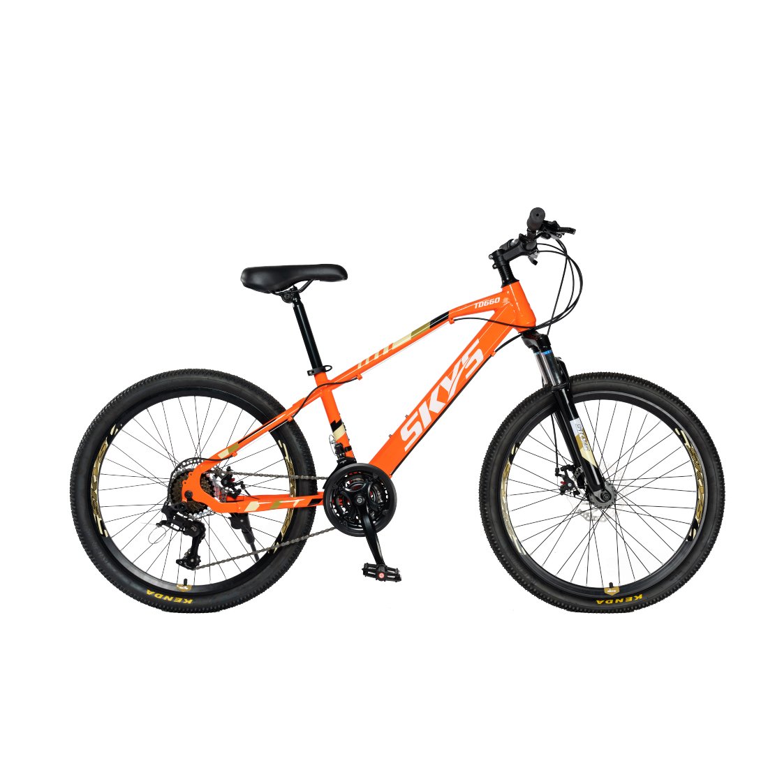 customizable mountain bike adult double disc brake student model export bicycle