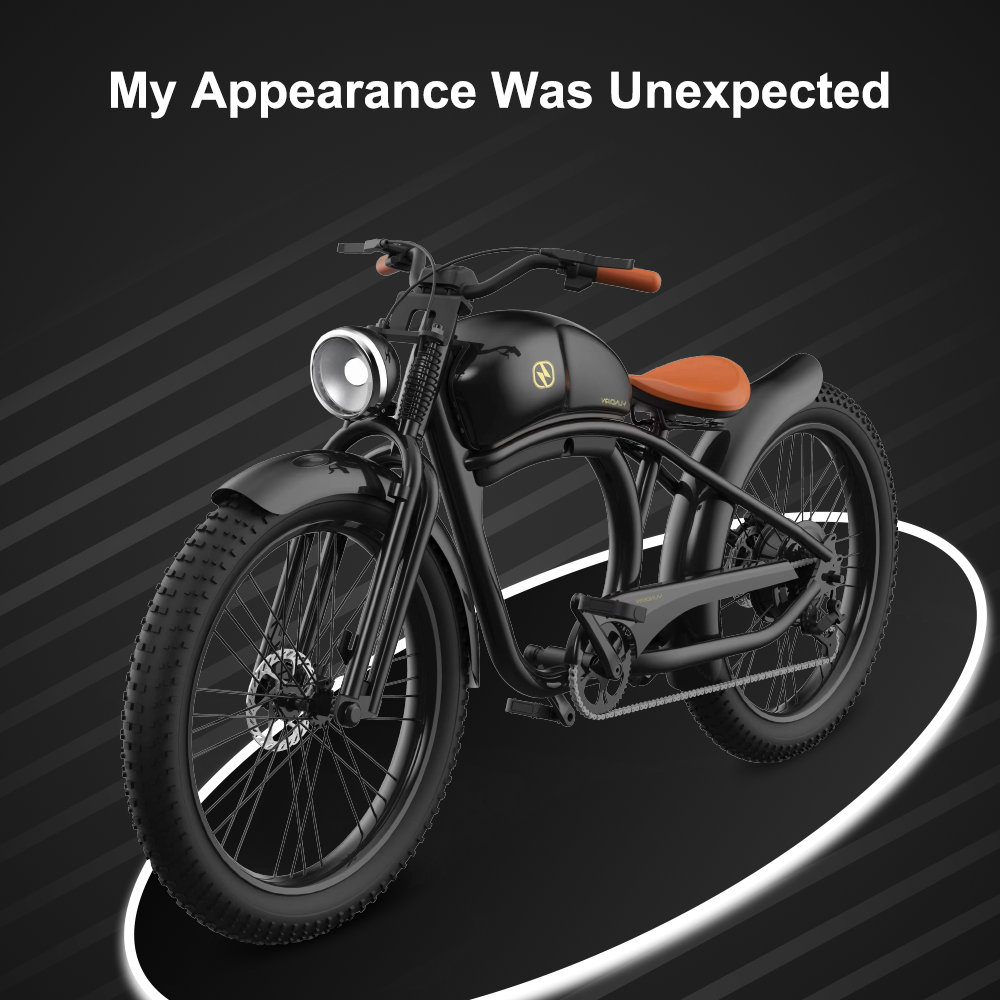 26 Inch*4.0 750W lithium battery electric fat tire bike electric city bike electric mountain bike hybrid Electric Bicycle