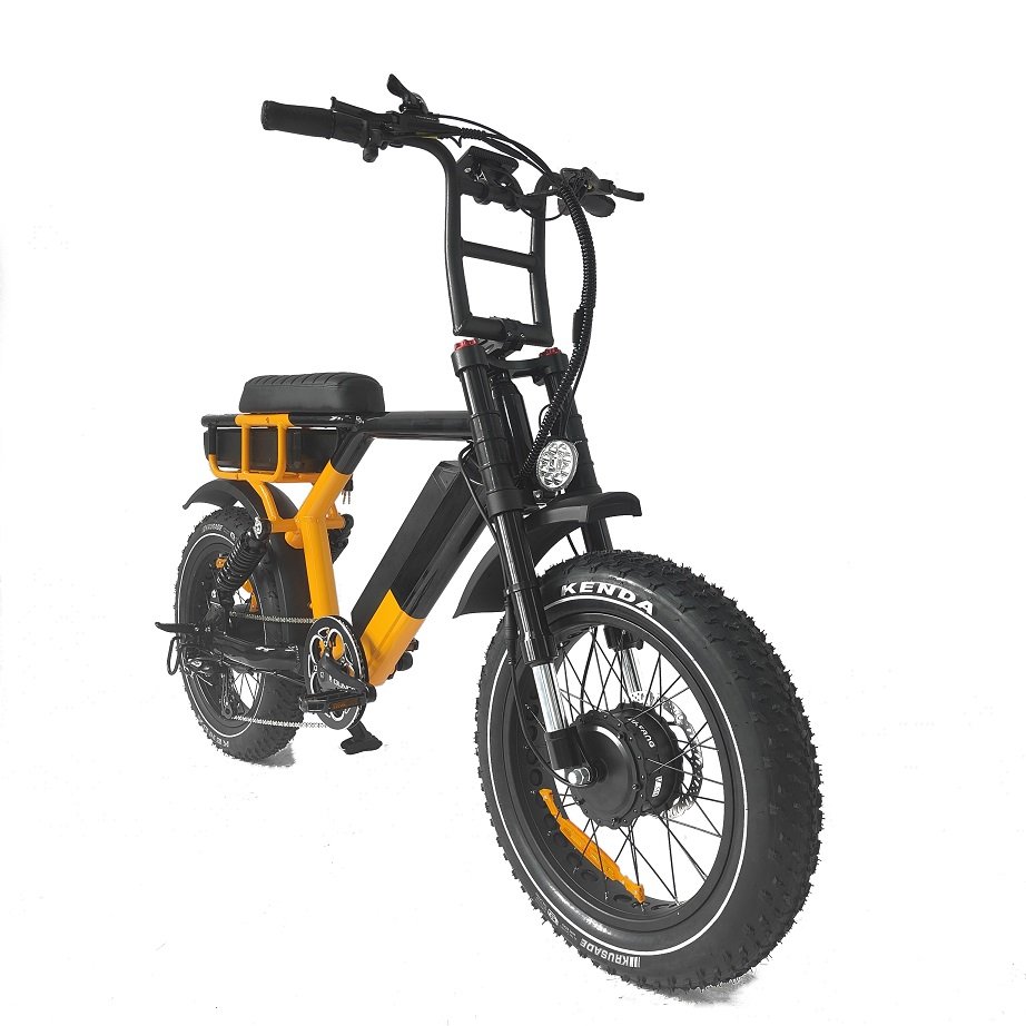 OTMAR Factory Price 52v 1000w Retro Big Saddle Electric Bike Dual Electric Bike Double Battery Electric Bicycle