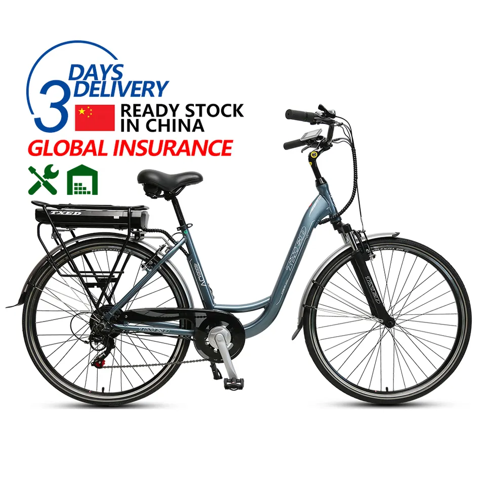 TXED popular 36V 250W real motor electric bicycle electric city bike
