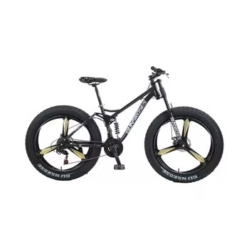 Market price customizable 26 inch fat tire bike cruiser snow mountain fat tire bike