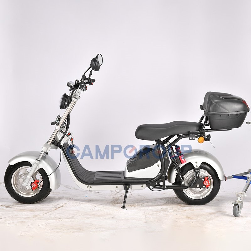 CAMP Electric Car Adult Citycoco Electric Scooter Electric City Bike Two-Wheeled Bicycle