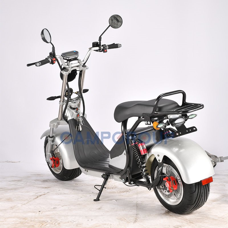 CAMP Electric Car Adult Citycoco Electric Scooter Electric City Bike Two-Wheeled Bicycle