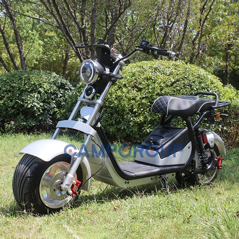 CAMP Electric Car Adult Citycoco Electric Scooter Electric City Bike Two-Wheeled Bicycle