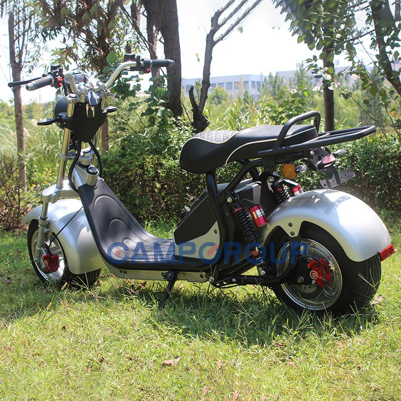 CAMP Electric Car Adult Citycoco Electric Scooter Electric City Bike Two-Wheeled Bicycle