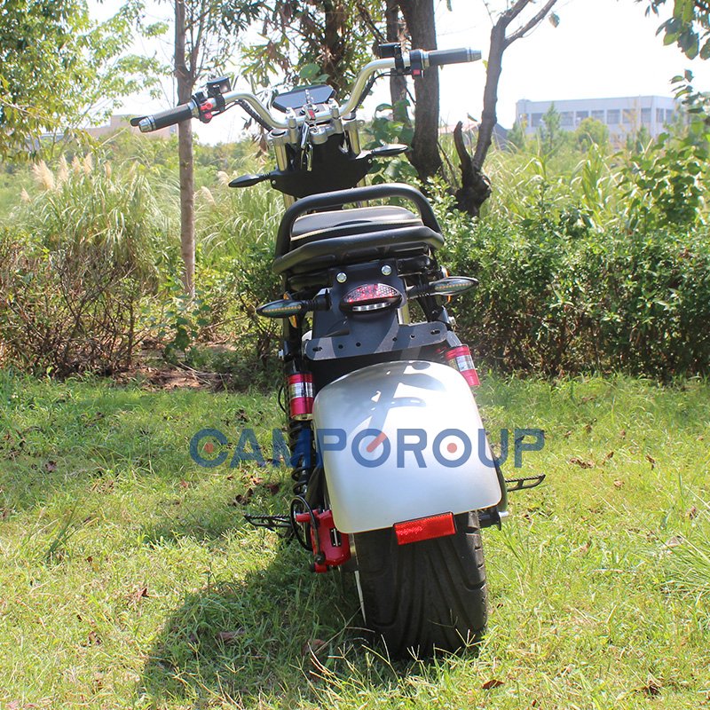 CAMP Electric Car Adult Citycoco Electric Scooter Electric City Bike Two-Wheeled Bicycle
