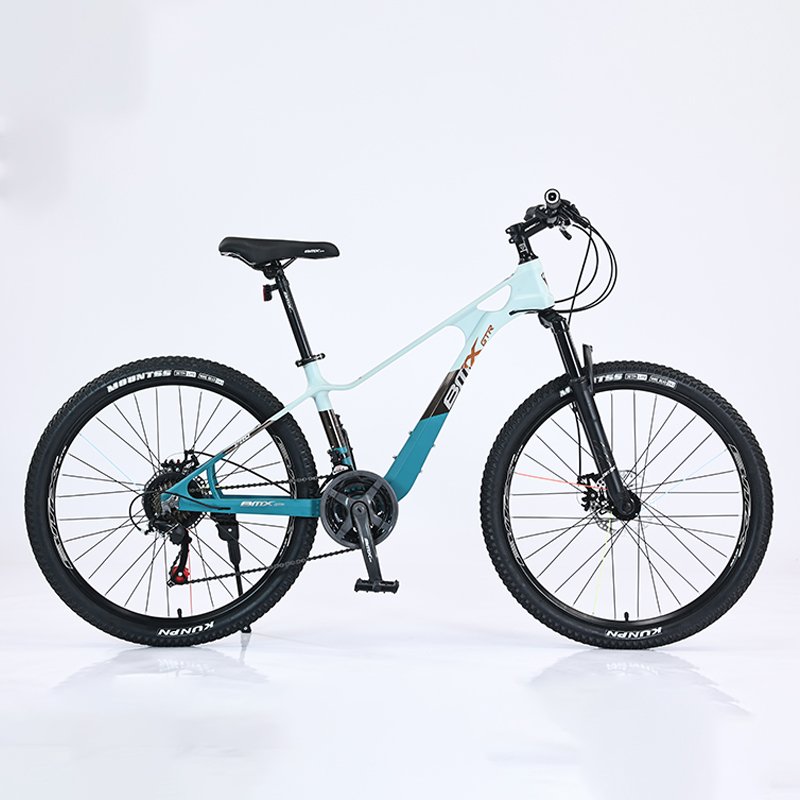 Hot Selling 24 Speed Magnesium Alloy BMXBicicleta Large Frame Trek Bicycle 24 26 inch Adult Cycle Mountain Bike for Men
