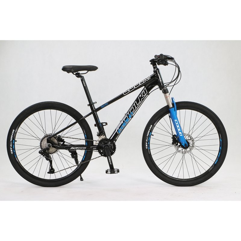 mountain bicycle professional mtb cycling off-road dirt jump 26 inch 20 speed mountain bike