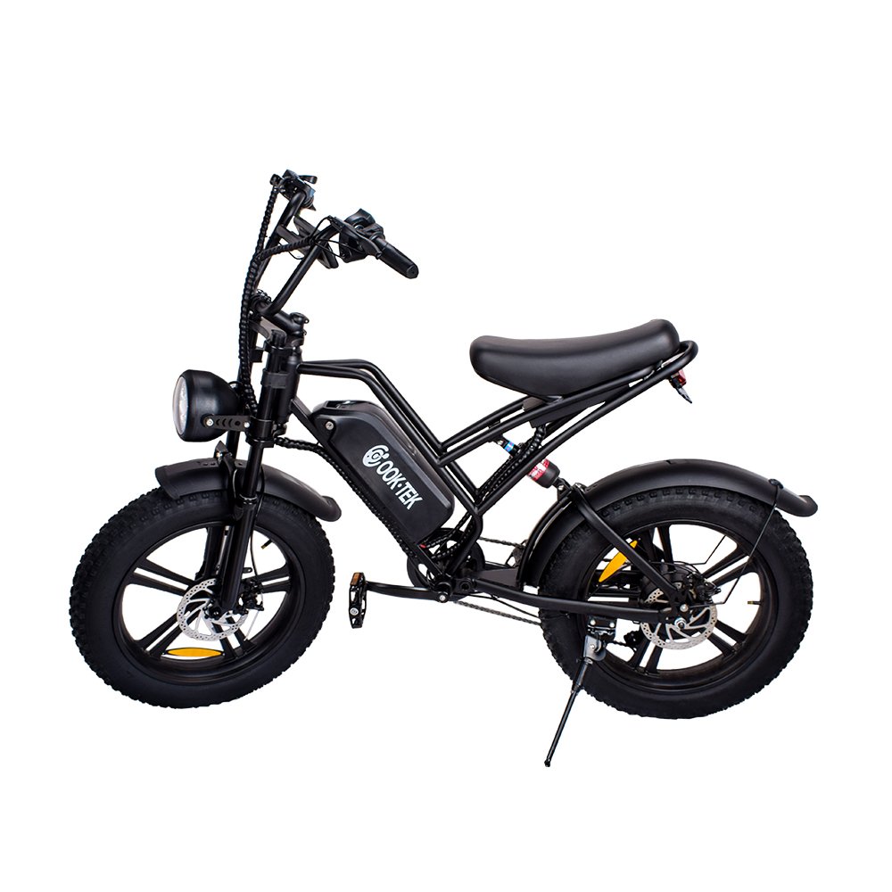 Electric mountain bike 48v fat tire e bike electric bicycle powerful 750W eu us warehouse E Bike for adults