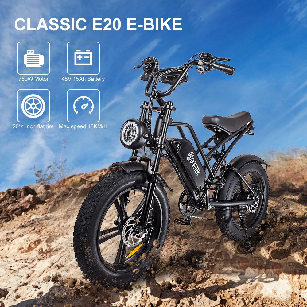 Electric mountain bike 48v fat tire e bike electric bicycle powerful 750W eu us warehouse E Bike for adults