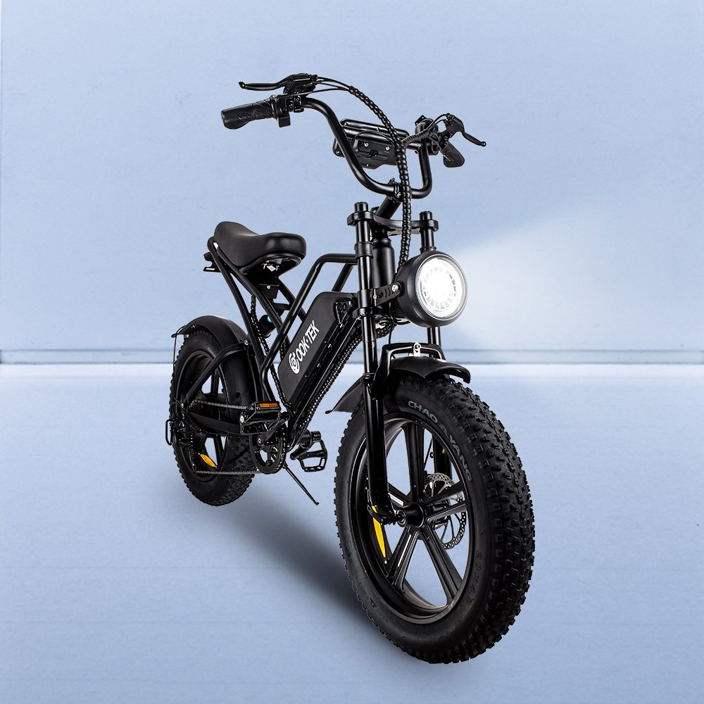 Electric mountain bike 48v fat tire e bike electric bicycle powerful 750W eu us warehouse E Bike for adults