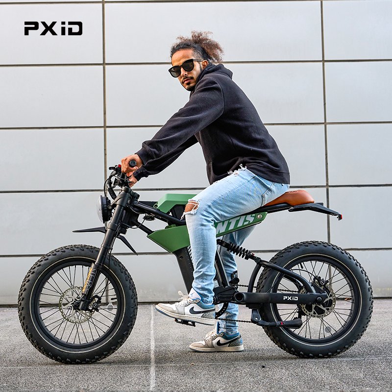 PXID MANTIS P6 super electric e bike 120KM long range electric mountain bikes with 48v and 20ah