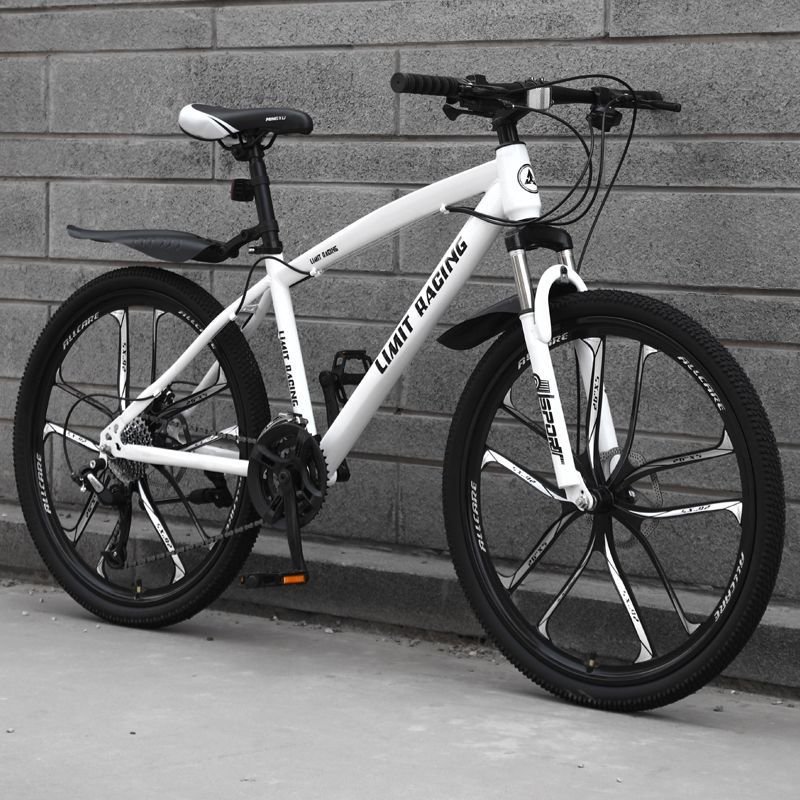 Fast Delivery Factory Stock MTB Bike New Design Variable Speed 26 Inch Mountain Bike Bicycle