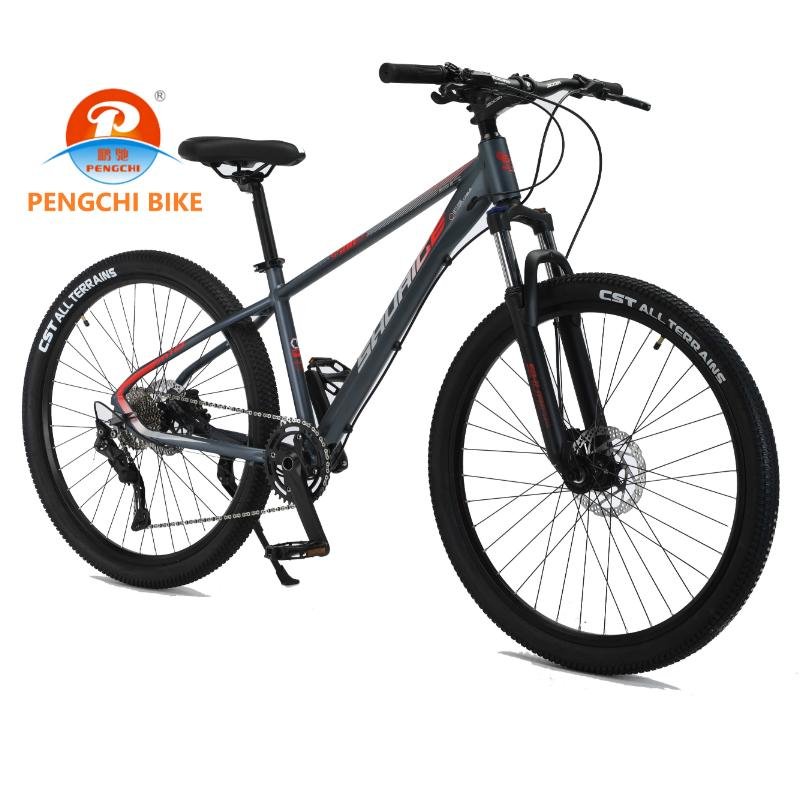 Hot selling high configuration 27.5 inch 10 speed adult bike, available at a low price for men and women's outdoor mountain bike