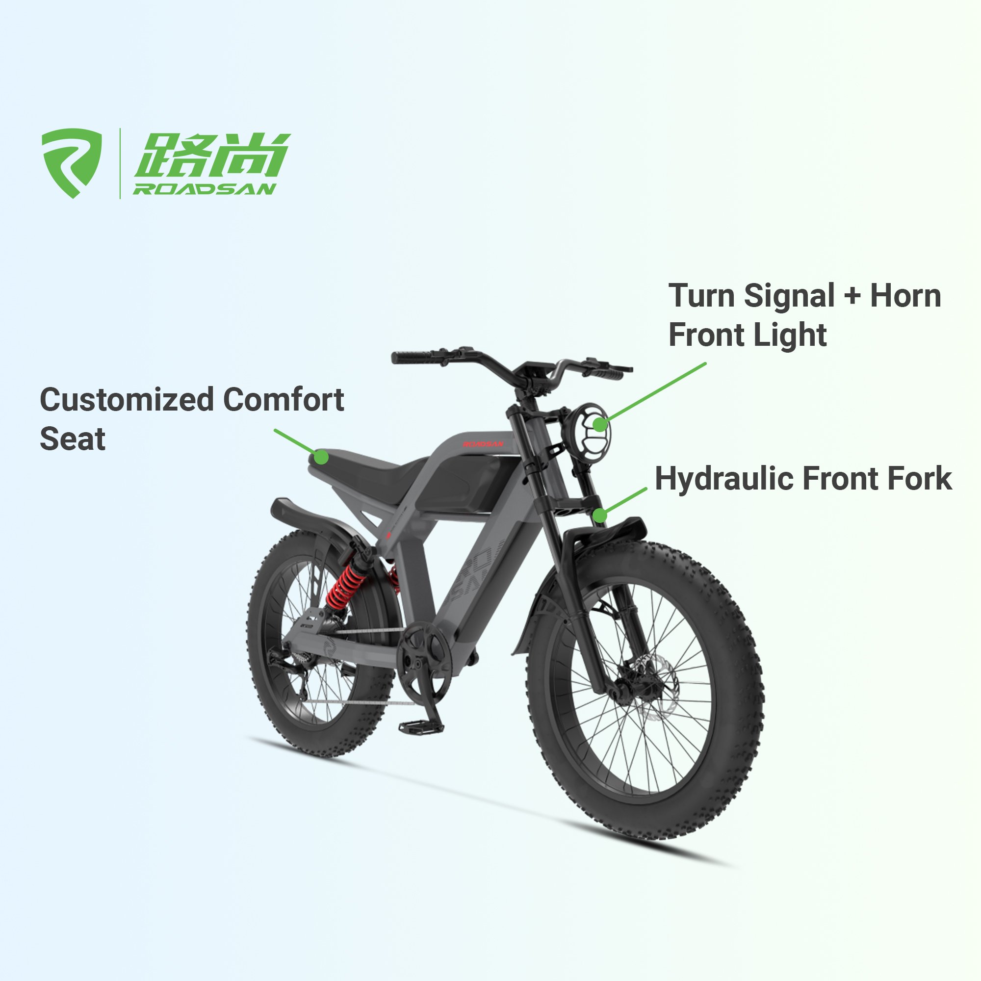 48V 1000W ROADSAN 2024 HOT SALES E-TOUR ELECTRIC BICYCLE R8 PLUS ELECTRIC MOUNTAIN BIKE 48V 20AH LONG RANGE 24" FAT TIRE